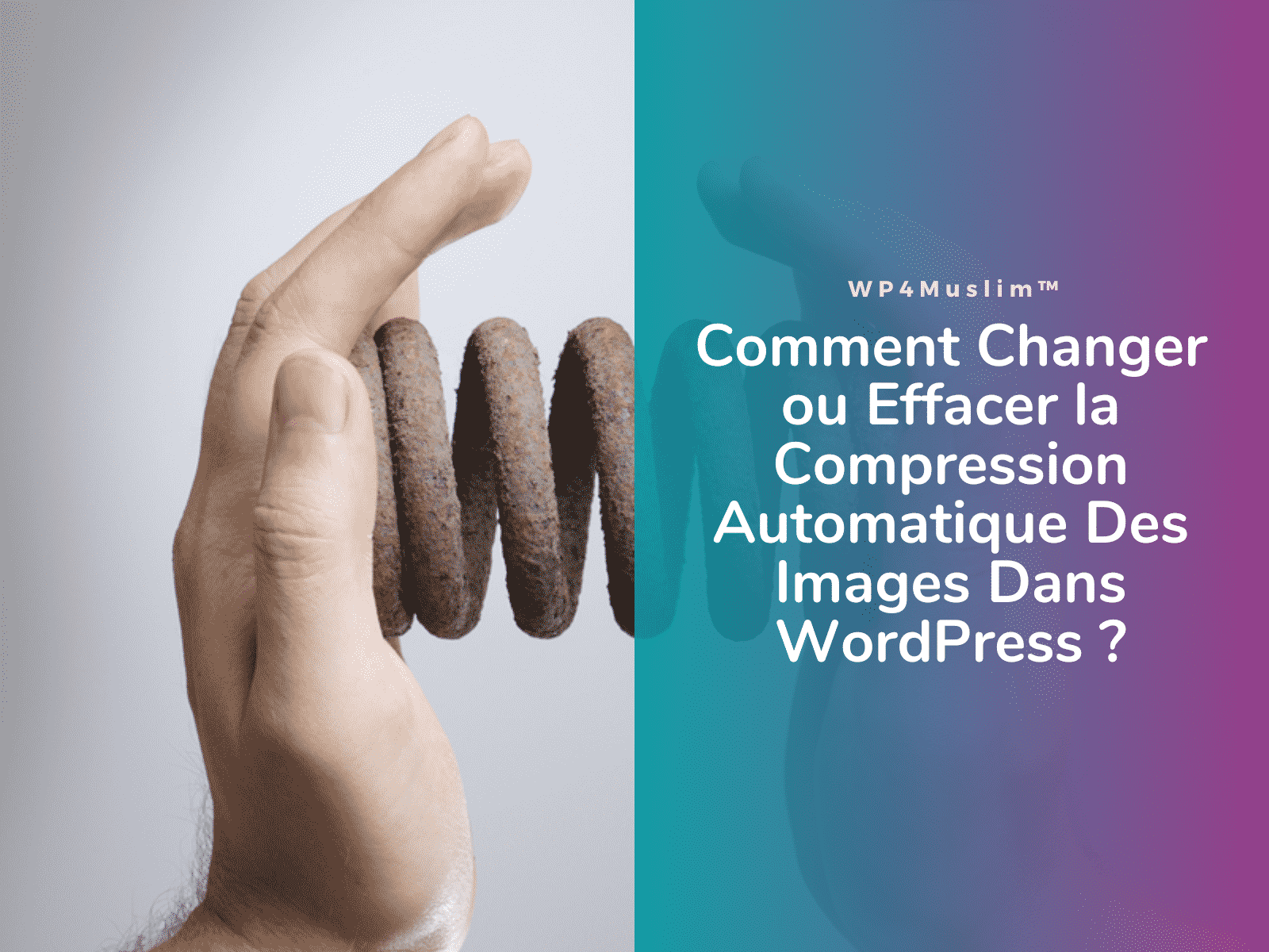 Comment Changer ou Effacer la Compression Automatique Des Images Dans WordPress - WP4Muslim
